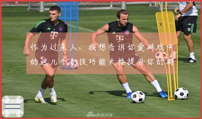 作为过来人，我想告诉你爱游戏中的这几个小技巧能大幅提升你的游戏体验！