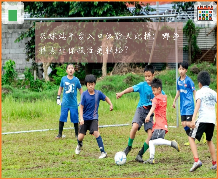 买球站平台入口体验大比拼：哪些特点让你投注更轻松？