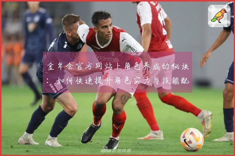 金年会官方网站上角色养成的秘诀：如何快速提升角色实力与技能配置