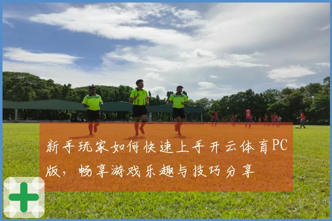 新手玩家如何快速上手开云体育PC版，畅享游戏乐趣与技巧分享